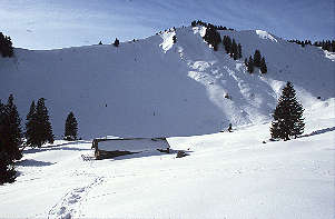 Amperthalalm unter der Ostwand des Schönbergs [Zum Vergrößern anklicken]