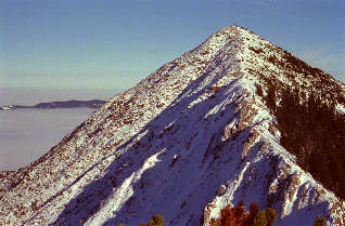 Brecherspitze