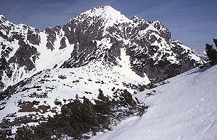 Erlspitze vom Anstieg zum Solstein (28.4.02) [Zum Vergrößern anklicken]