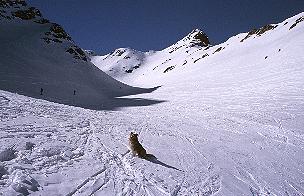 Sulzkogel über dem Gamezkogelferner (23.3.03) [Zum Vergrößern anklicken]