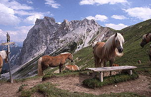 Gehrenspitze vom Scharnitzjoch [Zum Vergrößern anklicken]