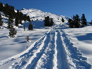 Der Gilfert (2506 m) (6.1.2003) [Zum Vergrößern anklicken]