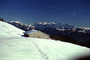 Blick von der Himmelmoos Alm auf das Kaisergebirge [Zum Vergrößern anklicken]