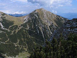 Krottenkopf vom Bischof [Zum Vergrößern anklicken]