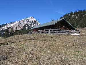 Krüner Alm vor Krottenkopf [Zum Vergößern anklicken]