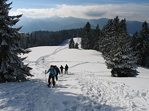 Aufstieg zur Neureuth [Zum Vergrößern anklicken]