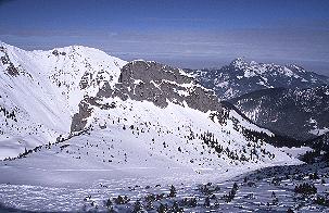 Blick vom Auerspitz auf die Sdwand der Ruchenkpfe (15.2.03) [Zum Vergrern anklicken]