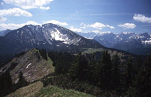 Schafreuter vom Grasköpfl [Zum Vergrößern anklicken]