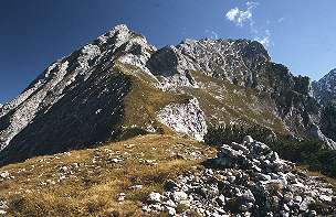 Schaufelspitze [Zum Vergrern anklicken]