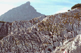 Schönfeldspitze über dem Steinernen Meer