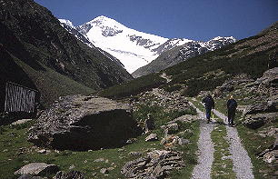 Similaun vom Aufstieg zur Martin-Busch-Hütte [Zum Vergrößern anklicken]