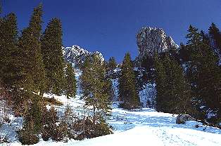 Der Staffelstein in der Nähe der Kampenwand, Chiemgauer Alpen [Zum Vergrößern anklicken]