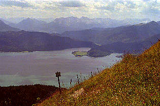 Blick vom Jochberg auf den Walchensee