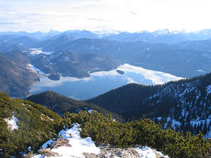 Walchensee vom Herzogstand [Zum Vergrößern anklicken]