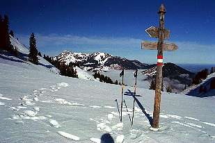 Wendelstein von der Seelacher Alm [Zum Vergrößern anklicken]